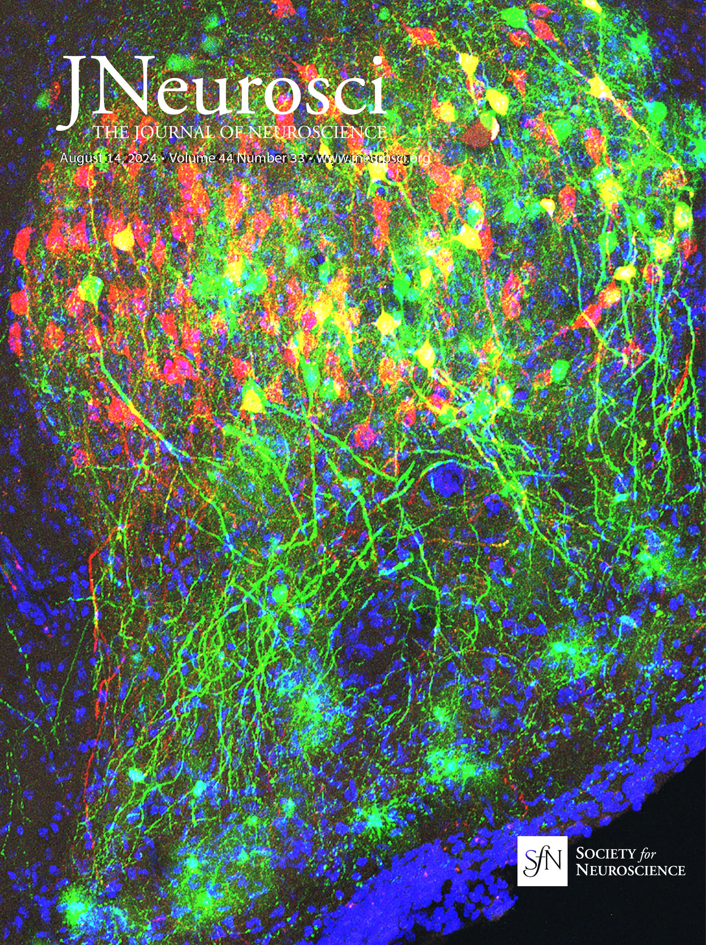 jneurosci__44_33_cover